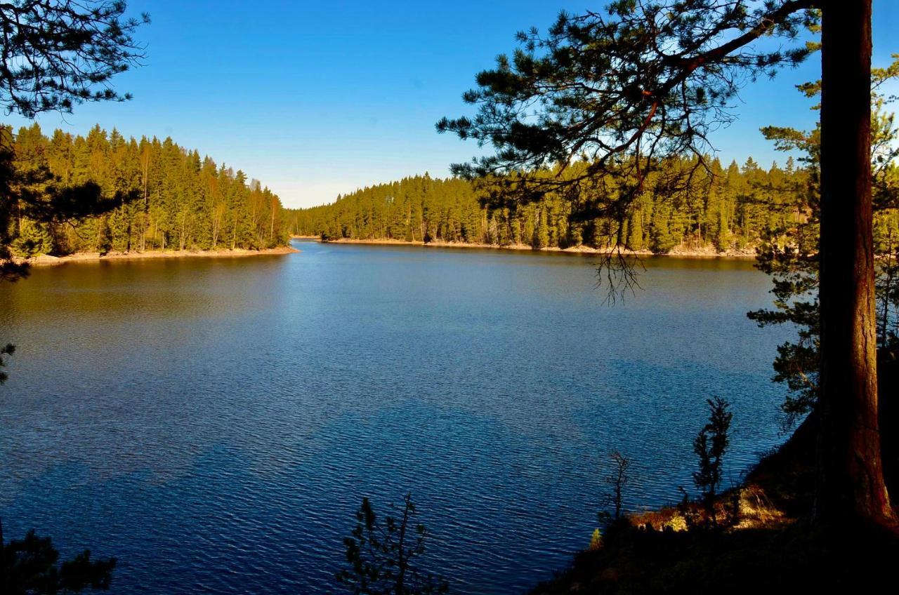 Lake And Forest Hideaway Årjäng Exteriör bild
